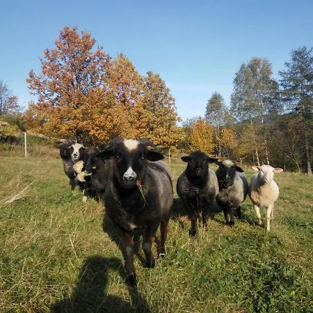 شاليه Maja فيسلا