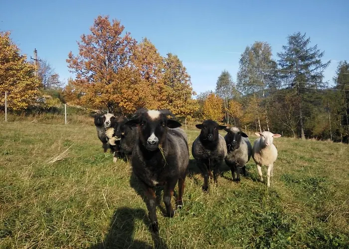 בקתה Maja ויסלאו